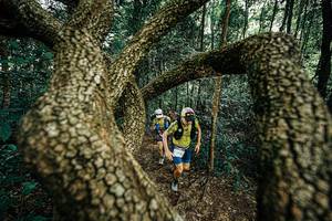 BIB: 
                            <button type="button" onclick="openModal(25393106)" class="btn btn-primary btn-sm float-right btn-popup" data-toggle="modal" data-target=".modal-high-quality">
                        <i class="fas fa-shopping-cart"></i> Add to Cart
                    </button>
                                            <button type="button" onclick="isThisMe(25393106, true)" class="btn btn-success btn-sm float-right btn-popup btn-isme hidden" data-toggle="tooltip" data-placement="bottom" title="นี่คือรูปของคุณใช่ไหม คลิกที่นี่เพื่อเอาเข้าอัลบั้ม">
                        <i class="fas fa-plus"></i> Add to album
                    </button>
                    <button type="button" onclick="isThisMe(25393106, false)" class="btn btn-warning btn-sm float-right btn-popup btn-isnotme hidden">
                        <i class="fas fa-ban"></i> Remove from album
                    </button>